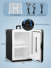 Mini Fridge 15L Thermoelectric Portable AC and DC Cooler Warmer