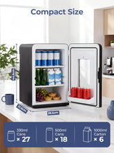 Mini Fridge 15L Thermoelectric Portable AC and DC Cooler Warmer