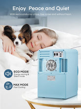 Mini Fridge 15L Thermoelectric Portable AC and DC Cooler Warmer