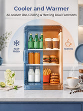 Mini Fridge 15L Thermoelectric Portable AC and DC Cooler Warmer
