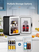 Mini Fridge 15L Thermoelectric Portable AC and DC Cooler Warmer